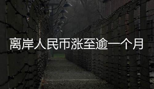 离岸人民币涨至逾一个月高位 美元即期汇率指数下跌0.68%