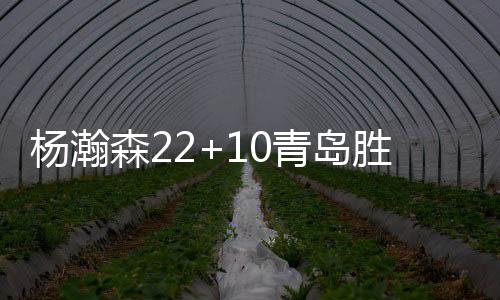 杨瀚森22+10青岛胜浙江 王哲林17分上海胜山东
