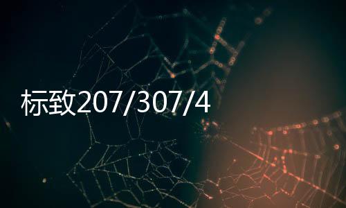 标致207/307/408雪铁龙C4L世嘉C2爱丽舍原装汽车电瓶瓦尔塔蓄电池