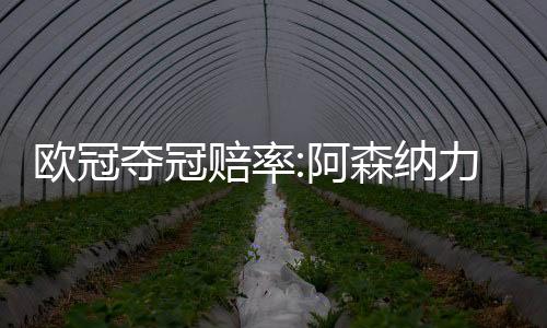 欧冠夺冠赔率:阿森纳力压拜仁领跑 利物浦掉队