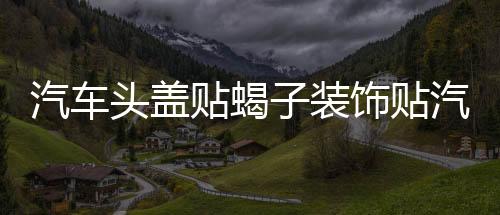 汽车头盖贴蝎子装饰贴汽车贴纸机盖贴拉花蝎子改装刮痕车身贴纸