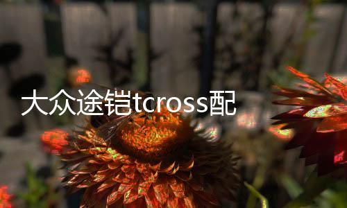 大众途铠tcross配件装饰用品汽车改装后门防护贴后备箱尾箱后护板