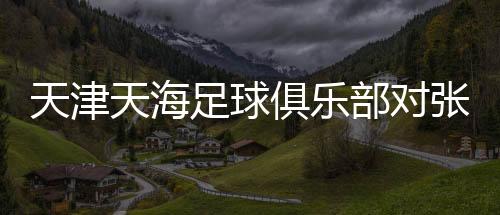 天津天海足球俱乐部对张鹭做出停薪停训停赛处罚