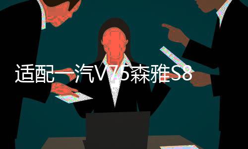 适配一汽V75森雅S80M80佳宝V80/V77/V52面包车原装电瓶汽车蓄电池