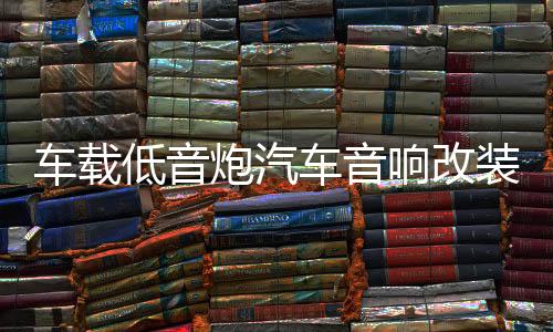 车载低音炮汽车音响改装同步专用12v24v大功率超重低音座椅后备箱