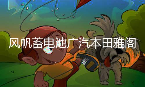 风帆蓄电池广汽本田雅阁7\8\9\9.5代2.0\2.4L原装60ah12V汽车电瓶