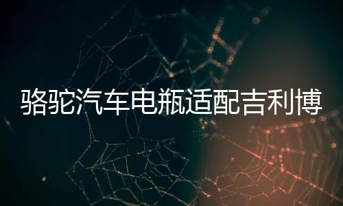 骆驼汽车电瓶适配吉利博越福特福睿斯福克斯T6(60AH)蓄电池